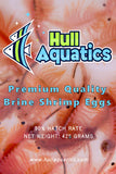 Hull Aquatics Brine Shrimp Hatching Eggs - 90% Hatch Rate - 100 Grams