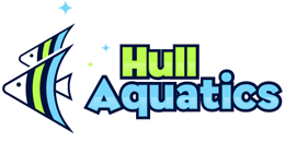 Hull Aquatics