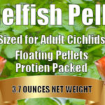 Angelfish Pellets - 8 oz