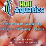 Hull Aquatics Brine Shrimp Hatching Eggs - 90% Hatch Rate - 100 Grams